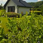 Gorczanska Koliba W Gorcach Kamienica (Limanowa)
