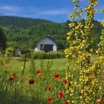Gorczanska Koliba W Gorcach Kamienica (Limanowa)