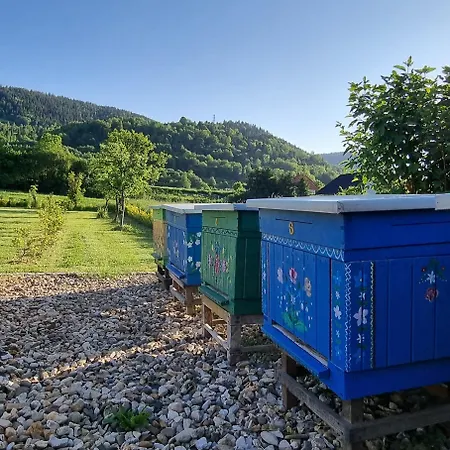 Gorczanska Koliba W Beskidzie Wyspowym Casa vacanze Kamienica (Limanowa)