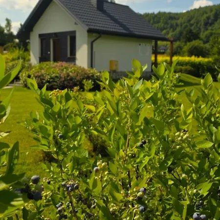 Gorczanska Koliba W Gorcach Kamienica (Limanowa)