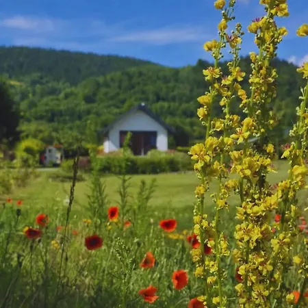 Gorczanska Koliba W Gorcach Kamienica (Limanowa)