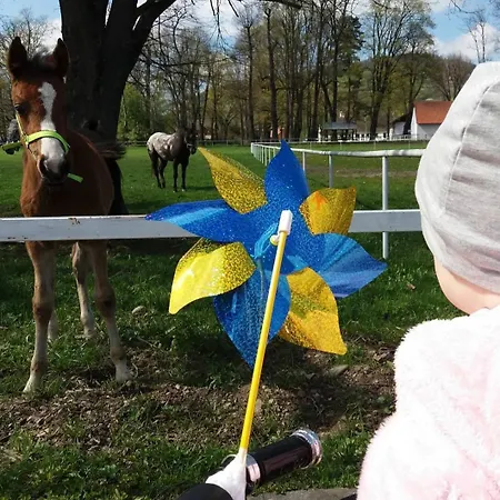 Gorczanska Koliba W Gorcach * Kamienica (Limanowa)