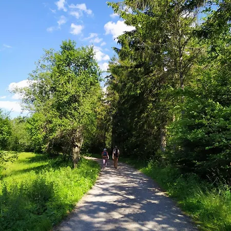 Gorczanska Koliba W Gorcach